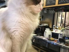 -咖法森林·咖啡  酒吧(天河店)