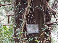-东天目山风景区