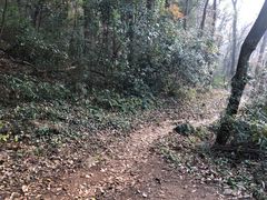 -天鹅湖体育公园