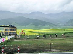 -青海湖国家重点风景名胜区