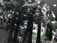 -中国湿地博物馆