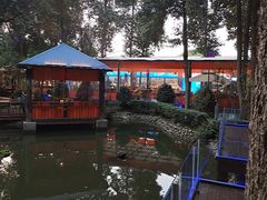 -二荆条·蜀鲜汇城市森林火锅