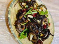 -龙小海荆沙鸽子店(瑞安街店)