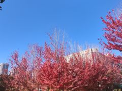 -辽宁大学(崇山校区)