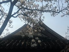 -常熟方塔园