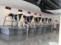 -蒙牛工业旅游景区