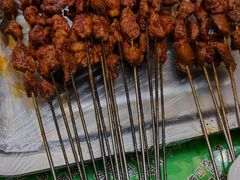 -尕胡才炕锅烤羊肉馆(八一路店)