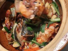 -大榕树下顺德菜(融创茂店)