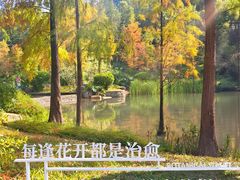 -云溪植物园