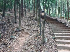-滴水岩森林公园