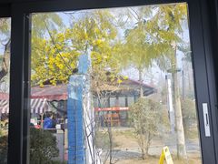 -麻小度青花椒鱼(安德总店)