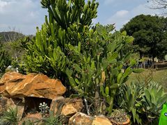 -东莞植物园