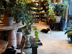 -自由生长植物工作室(深港花卉中心店)