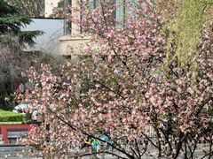 -木塔寺遗址生态公园