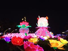 -映月湖公园