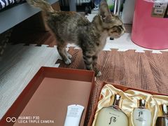 -COACH蔻驰(银泰店)