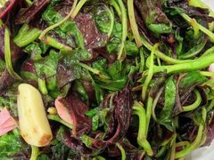 -沪依小酒馆心意菜