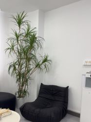 -KISS U 国际美学