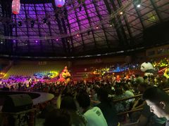 -俄罗斯国家大马戏团