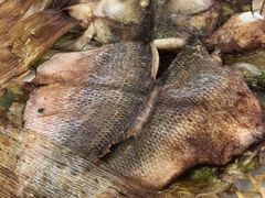 竹网鲈鱼-翠亭酒家(山西南路店)