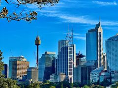 -麦考利夫人座椅