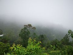 -山景山庄