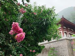 -西安华清御汤酒店