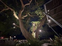 -网红落日悬崖餐厅 The Sky Gallery