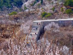 -龙泉峪长城