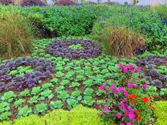 -紫颐香薰山谷景区