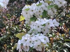 android_upload_pic-旺山景区