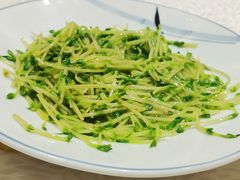 白灼豆苗-火宫殿·湘菜小吃·商务宴请·生日聚会(东塘店)