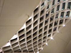 -哈尔滨大剧院