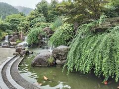 -千岛湖城中湖游船码头