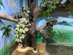 -石家庄市动物园