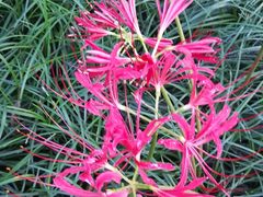 -白塘生态植物园