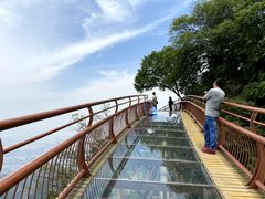 -少华山国家森林公园