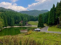 -武陵山森林公园