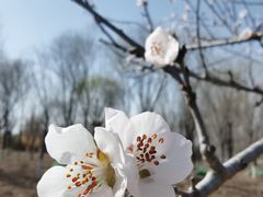 -金掌勺东北菜(格兰晴天店)