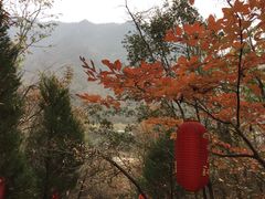 -老君洞旅游度假区