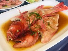 东星斑-渔满仓海鲜渔家(象山二店)