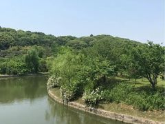 -苏州上方山国家森林公园