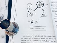 -自由之丘