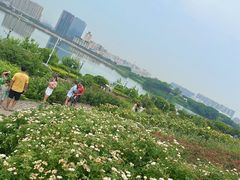 -立新湖公园