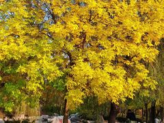 -羊亭河湿地公园