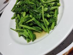 -紫光园·烤鸭·北京菜(劲松店)