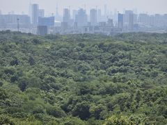 -南京老山国家森林公园