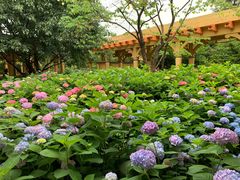 -小熊维尼历险之旅