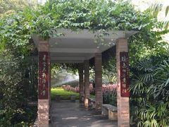 -晓港公园