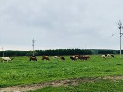 -塞罕坝国家级自然保护区